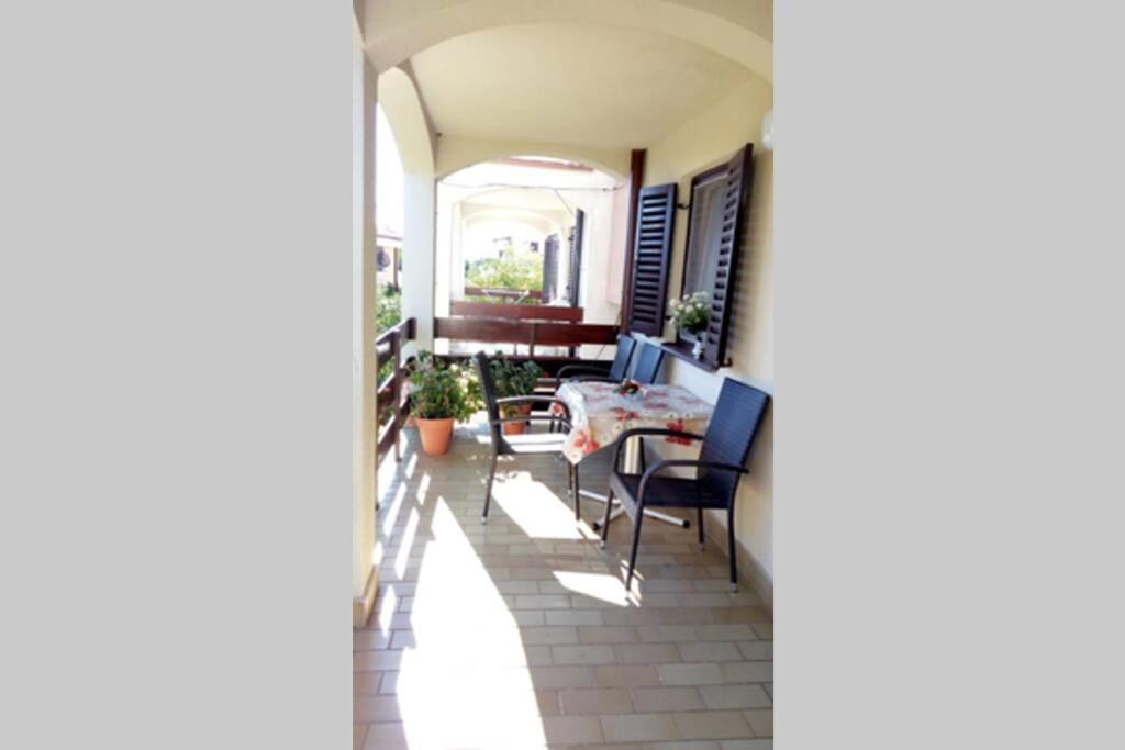 Apartment Zdenka Raša Dış mekan fotoğraf